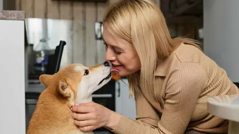 Perro lamiendo a su due&ntilde;a (Imagen de archivo)