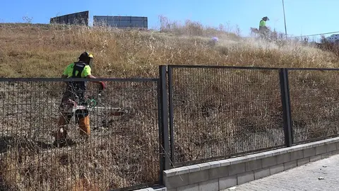 Trabajos de desbroce en la zona sur de Jerez