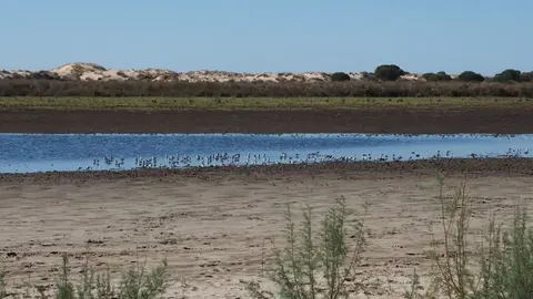 Acu&iacute;fero de Do&ntilde;ana
