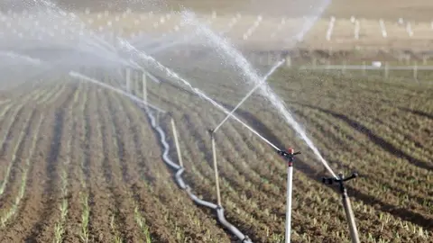 Las ayudas est&aacute;n siendo claves para que el campo cordob&eacute;s sobreviva