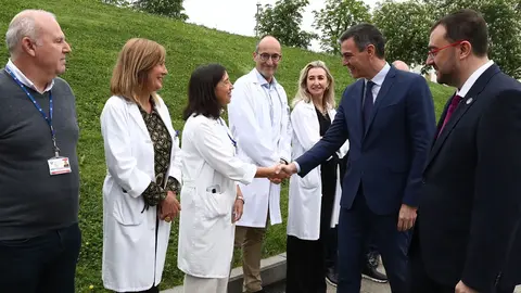 Pedro S&aacute;nchez, durante una visita a un hospital