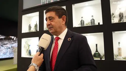 Francisco Reyes, presidente de la Diputaci&oacute;n de Ja&eacute;n (1)