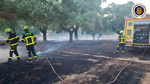 Bomberos actuando en el incendio de Jerez