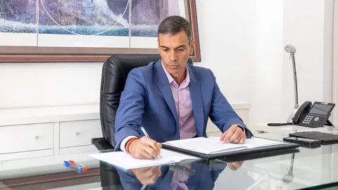 El presidente del Gobierno, Pedro S&aacute;nchez