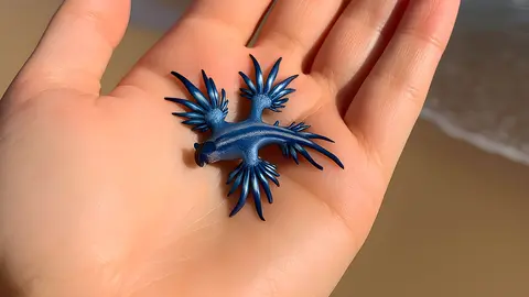 Recreaci&oacute;n de un drag&oacute;n azul en la palma de la mano en una playa de Andaluc&iacute;a