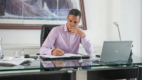 El presidente del Gobierno, Pedro S&aacute;nchez