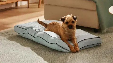 Cama para perros autocalentable y autoenfriable, Zoofari de Lidl