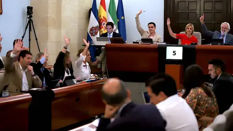 Votaci&oacute;n en el Pleno del Ayuntamiento de Jerez