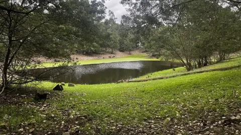 Una de las balsas de la finca Los Mimbrales, en Almonte (Huelva)