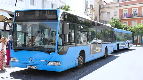 Autobuses en Jerez
