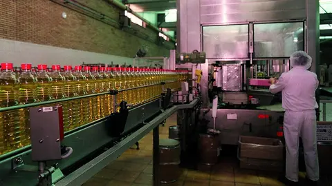 Planta de envasado de aceite de oliva