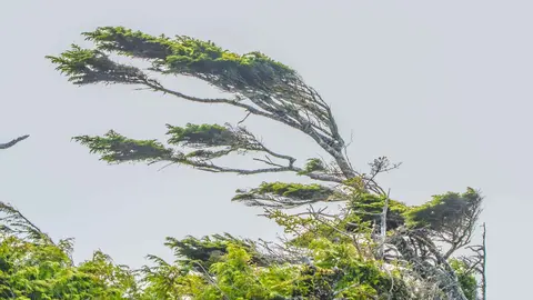 Aviso amarillo por viento en Jerez