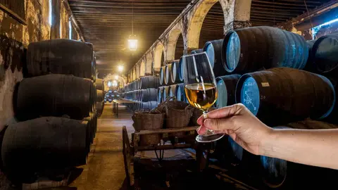 Bodega Osborne (El Puerto de Santa Mar&iacute;a, C&aacute;diz)