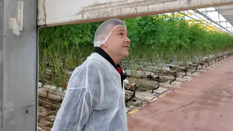 Jos&eacute; El&iacute;as visita Tomati&Co en Almer&iacute;a y descubre un modelo agr&iacute;cola que une tecnolog&iacute;a, m&eacute;todo y marca para convertir el tomate cherry en un producto de valor
