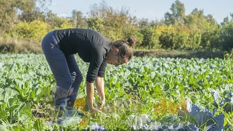 La agricultura ecol&oacute;gica, al alza en Andaluc&iacute;a