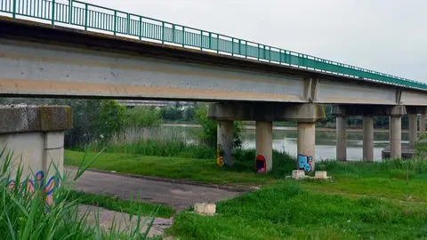 Las inmediaciones del lugar donde se produjo el hallazgo (1)