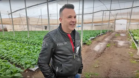 Jos&eacute; El&iacute;as descubre en Almer&iacute;a la alta rentabilidad del cultivo hidrop&oacute;nico de lechugas sin tierra