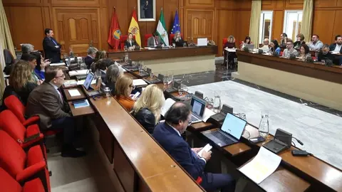 Imagen de la celebraci&oacute;n de un pleno en el Ayuntamiento de C&oacute;rdoba (2)