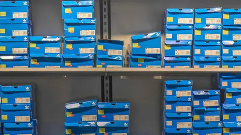 Cajas de zapatillas de Adidas