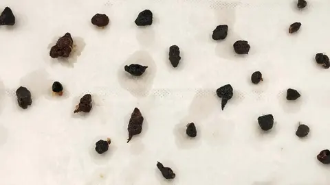 Trozos en la l&iacute;nea de fritura industrial de Productos Congelados Selectos 3000