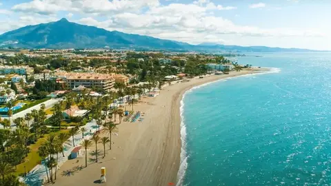 Inagen de San Pedro de Alc&aacute;ntara