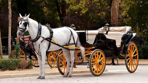 Coche de caballos
