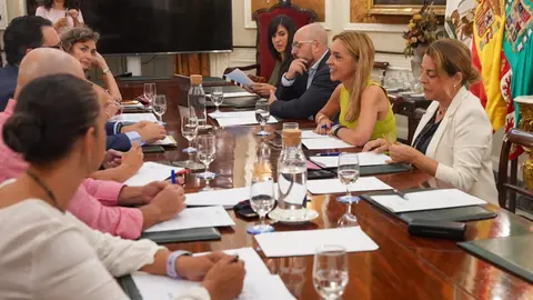 Reuni&oacute;n de la Mesa de Di&aacute;logo Social en el Palacio Provincial de C&aacute;diz