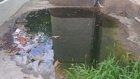 Aguas fecales en el Albergue Municipal