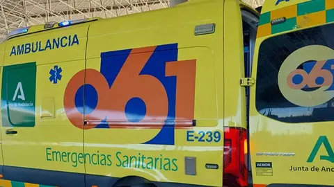Una ambulancia del 061