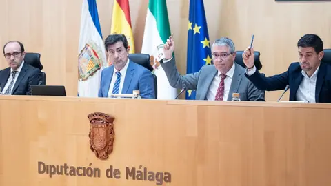 Celebraci&oacute;n del Pleno en la Diputaci&oacute;n de M&aacute;laga