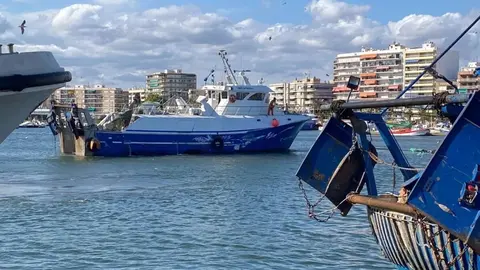 Andaluc&iacute;a mima la pesca y la acuicultura