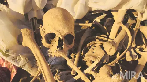 Huesos humanos encontrados en el pol&iacute;gono industrial El Portal, Jerez de la Frontera