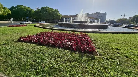 Plantaci&oacute;n de flores de temporada en Huelva