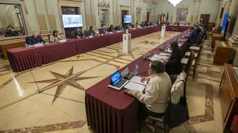Celebraci&oacute;n del Pleno en el Ayuntamiento de Huelva (2)
