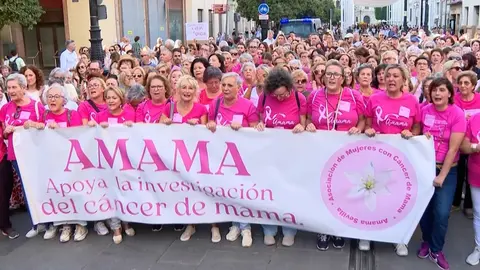 Amama ha recibido un importante rev&eacute;s en Andaluc&iacute;a