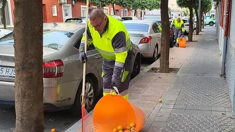 Trabajadores de limpieza recogiendo naranjas en la v&iacute;a p&uacute;blica