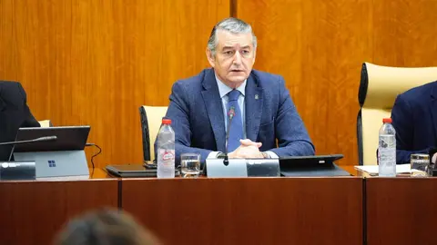 Antonio Sanz ha defendido la gesti&oacute;n de la Junta de Andaluc&iacute;a en materia sanitaria