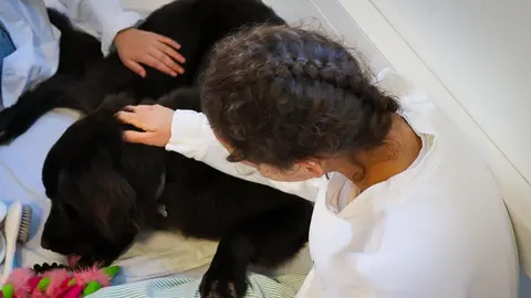 El Hospital de M&aacute;laga ha puesto en marcha un programa de terapia asistida con perros