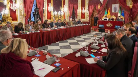 Pleno de diciembre de la Diputaci&oacute;n de C&aacute;diz
