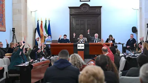 Pleno del Ayuntamiento de Jerez
