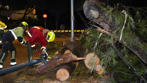 Temporal en Andaluc&iacute;a