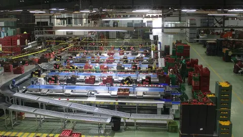 Andaluc&iacute;a refuerza la innovaci&oacute;n agroalimentaria con inversiones en modernizaci&oacute;n, agua y digitalizaci&oacute;n