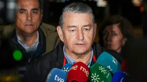 El consejero de Sanidad de la Junta de Andaluc&iacute;a, Antonio Sanz