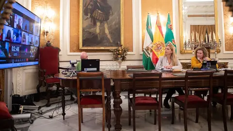 Almudena Mart&iacute;nez ha presidido un pleno que se ha celebrado de forma telem&aacute;tica