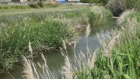 Imagen de archivo de una acequia