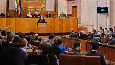 Celebraci&oacute;n del Pleno en el Parlamento Andaluz | Salvador L&oacute;pez Medina