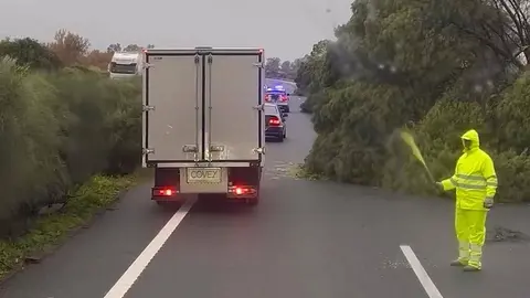 Cortes de tr&aacute;fico en la autopista AP-4