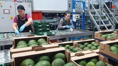 M&aacute;laga ha vuelto a marcar un hito por sus exportaciones