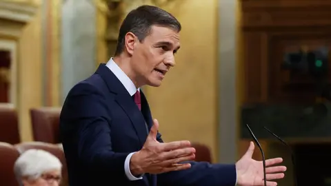 Pedro S&aacute;nchez, durante una intervenci&oacute;n en el Congreso