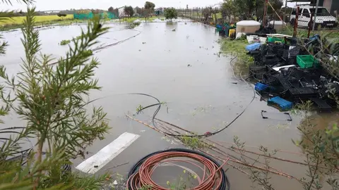 La Junta de Andaluc&iacute;a ha garantizado las ayudas para el campo andaluz